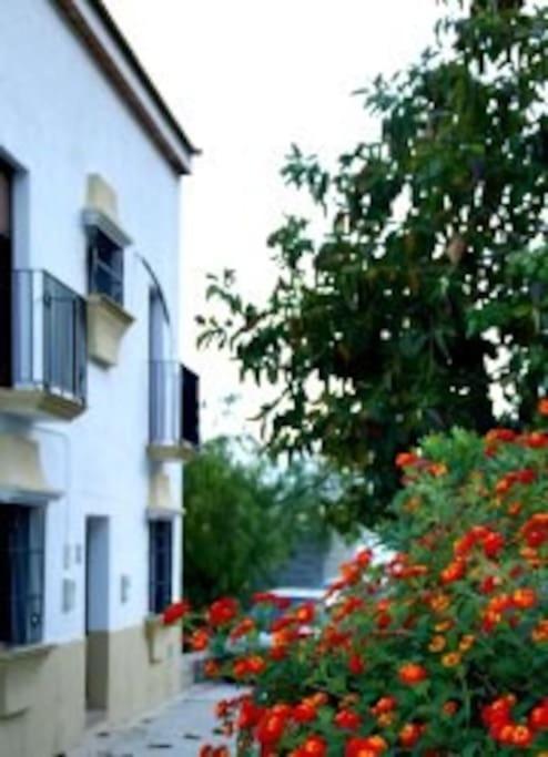 Villa Eagles Nest - Massive Townhouse With Pool With Outstanding Views Algodonales Esterno foto